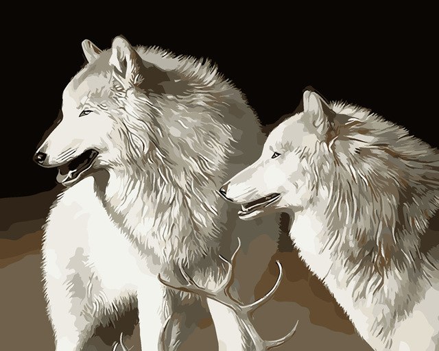 640x512 Frameless Animal White Wolf Diy Painting - White Wolf Drawing