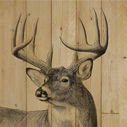 425x425 reflective art x 'whitetail buck wood wall - Whitetail Buck Drawing