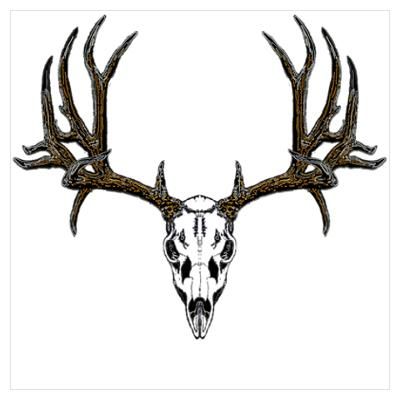 Whitetail Deer Skull Drawings At Paintingvalley Com Explore