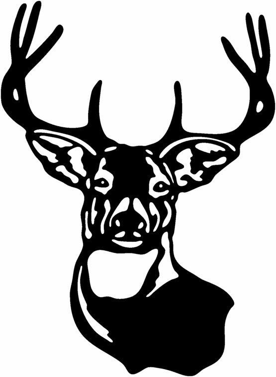 555x759 gallery whitetail deer skull silhouette - Whitetail Deer Skull Drawings