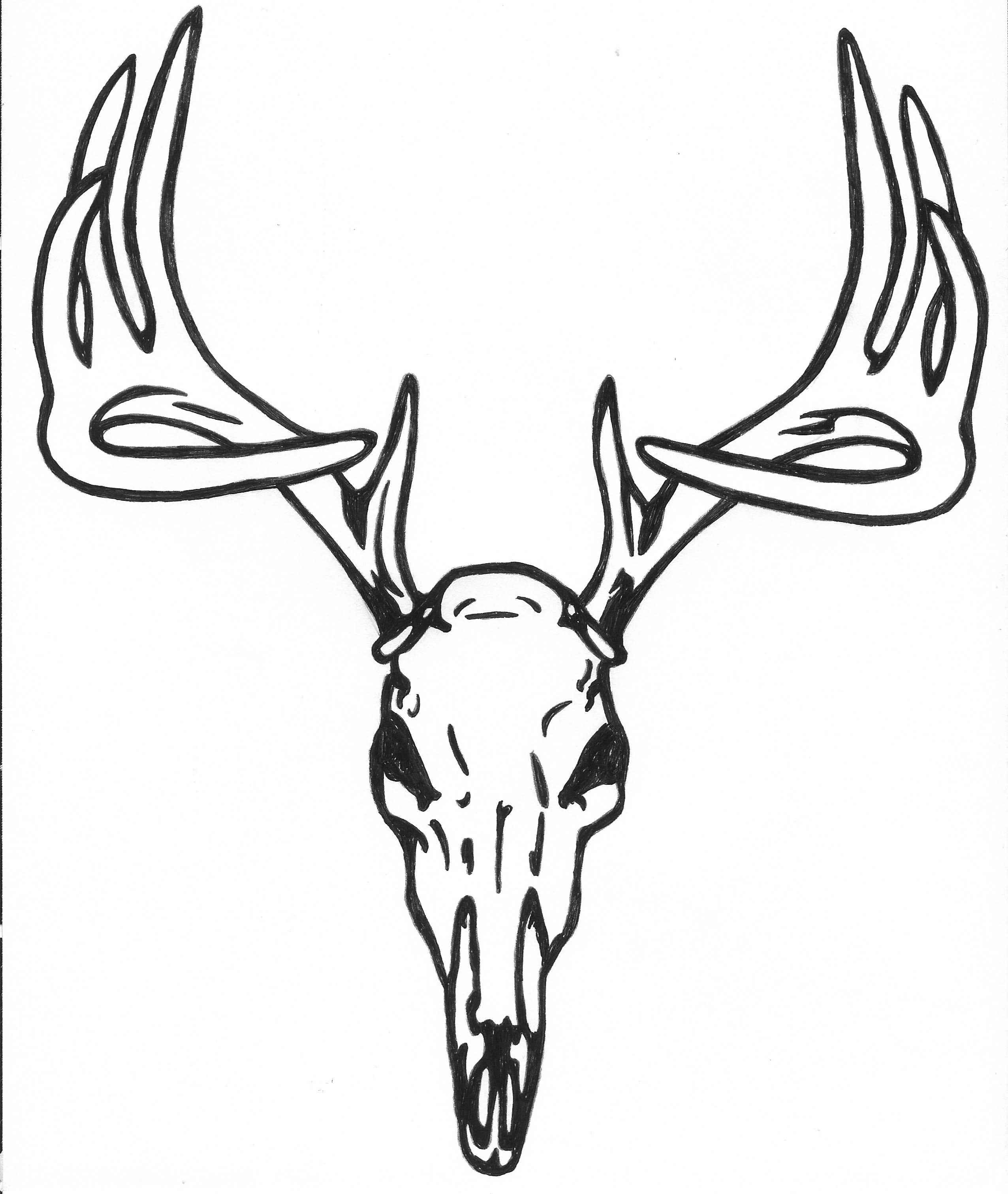Whitetail Deer Skull Drawings at Explore