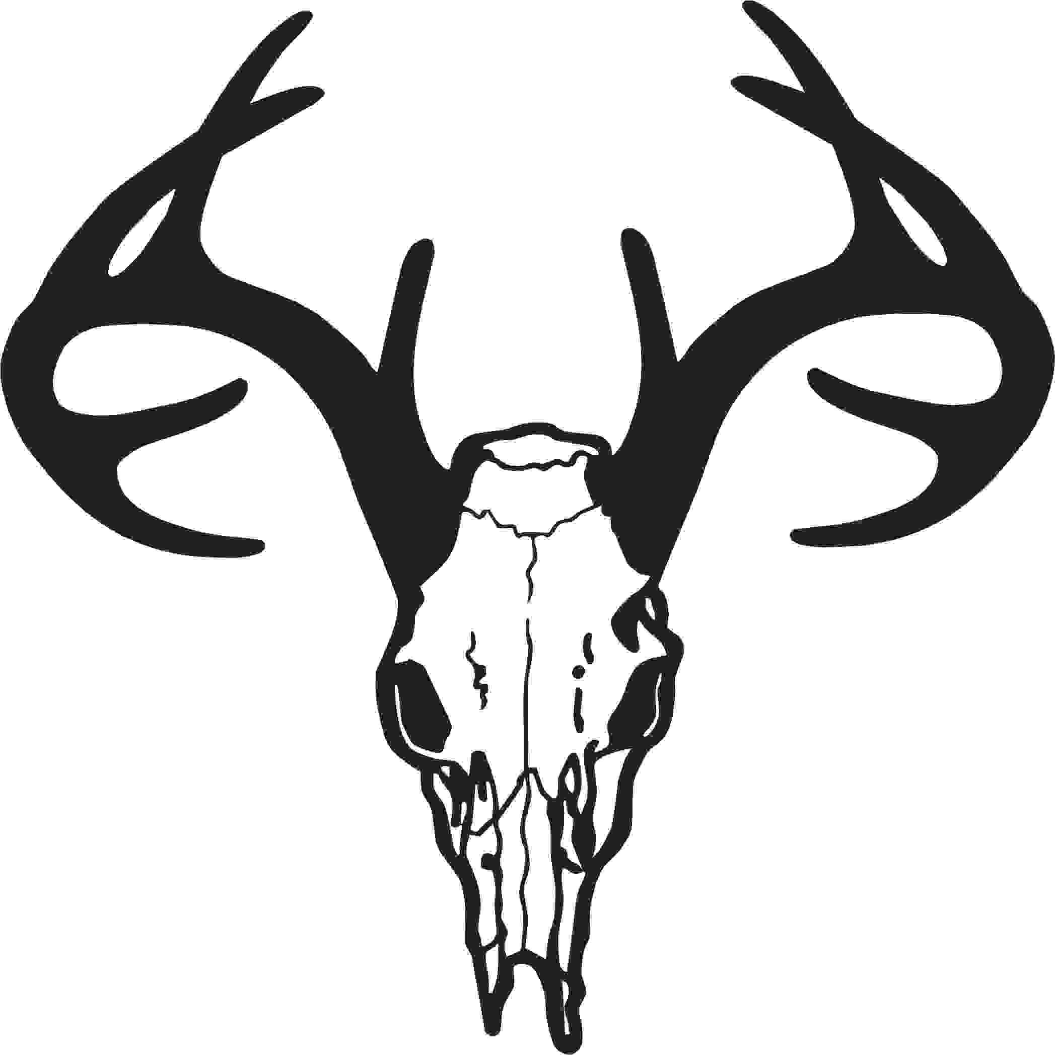 Whitetail Deer Skull Drawings at PaintingValley.com | Explore ...