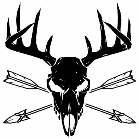 474x474 whitetail deer skull drawing gtgt - Whitetail Deer Skull Drawings