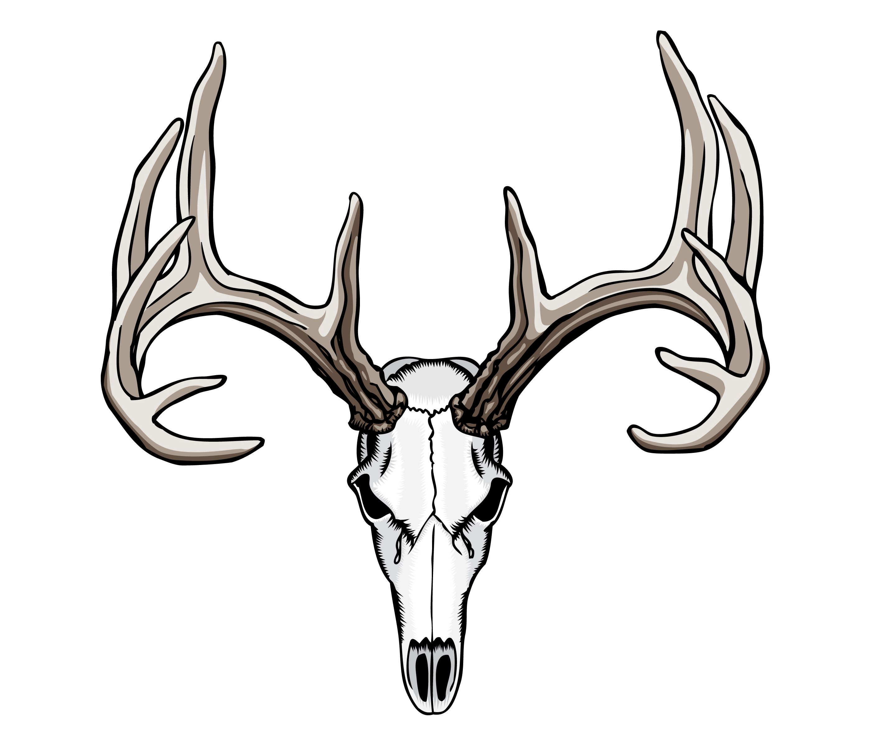 2800x2400 whitetail deer skull tattoos art nouveau deer skull tattoos - Whitetail Deer Skull Drawings
