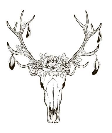 382x450 Deer Skull Drawing - Whitetail Deer Skull Drawings