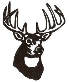 236x286 Deer Skull Drawing - Whitetail Deer Skull Drawings
