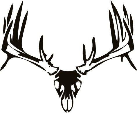 Whitetail Deer Skull Drawings at PaintingValley.com | Explore ...