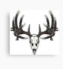210x230 Trophy Whitetail Drawing Canvas Prints Redbubble - Whitetail Drawing