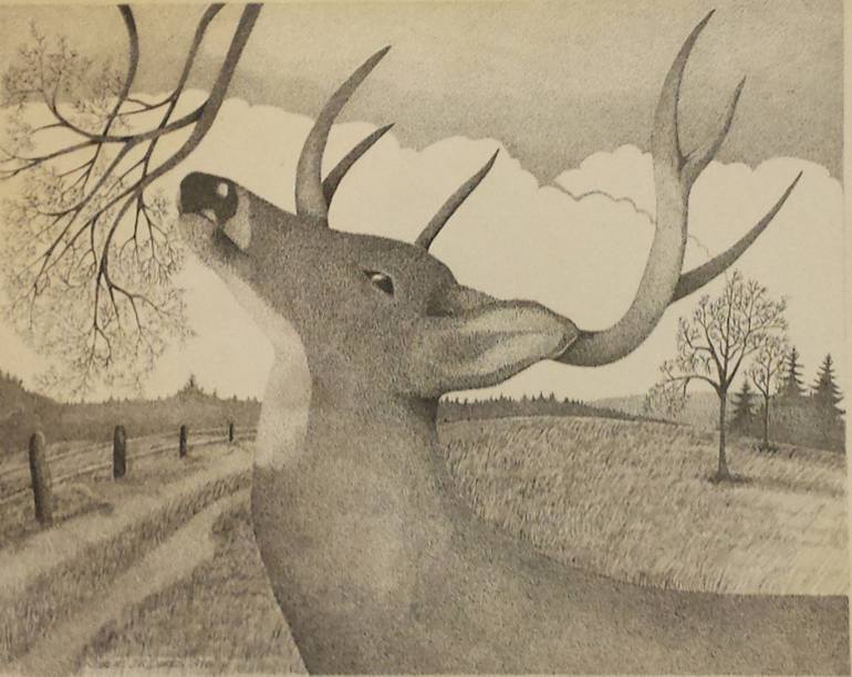770x612 Whitetail Buck Drawing - Whitetail Drawing