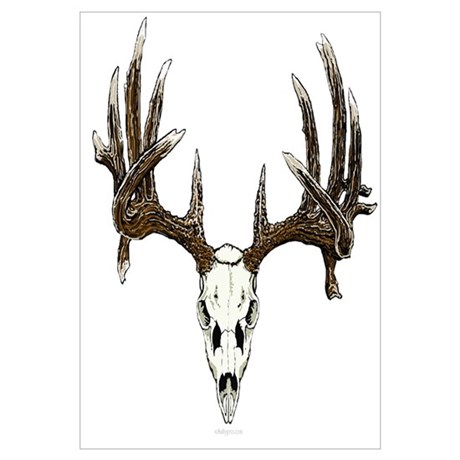 460x460 Whitetail Deer Pencil Drawings Wall Art - Whitetail Drawing