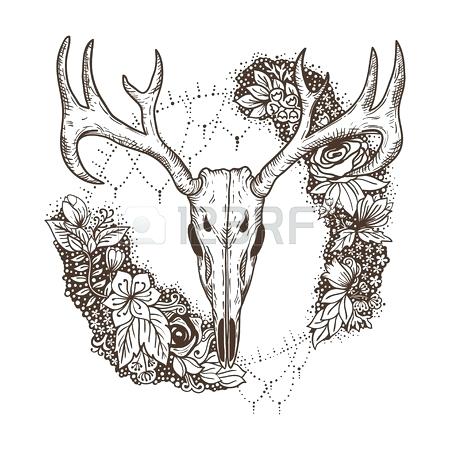 Whitetail Drawing at PaintingValley.com | Explore collection of ...