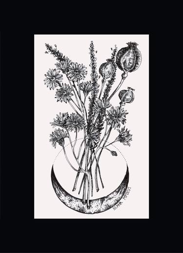 375x517 Hecate's Herbarium I - Wiccan Drawings