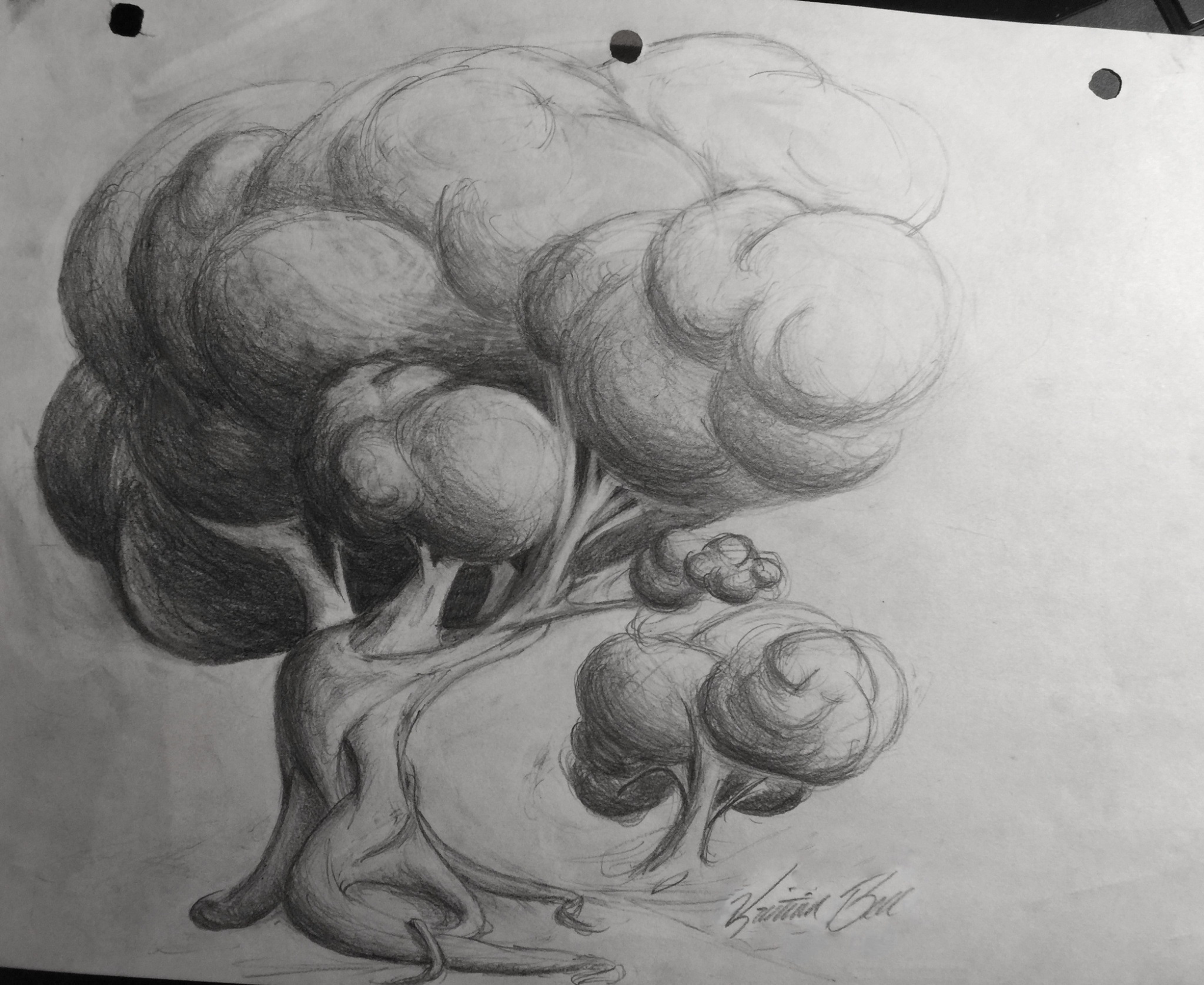 2048x1675 Tree Pencil Drawing Sketchbook Drawing - Wicked Tree Drawings