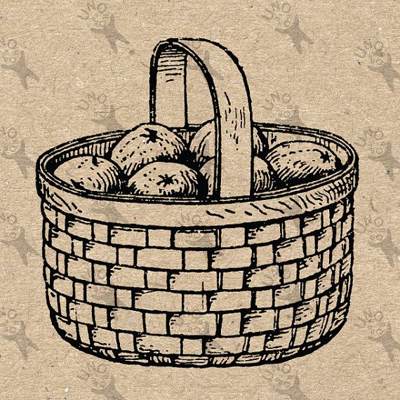 Wicker Basket Drawing at Explore collection of