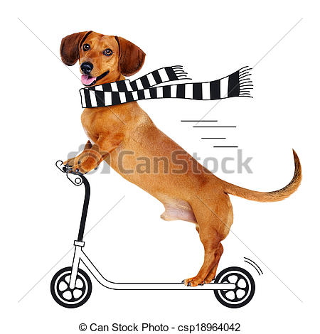 450x470 dachshund dog riding the cartoon scooter - Wiener Dog Drawing