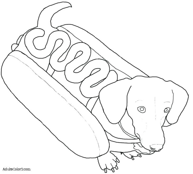 732x663 wiener dog coloring pages great free clipart, silhouette - Wiener Dog Drawing