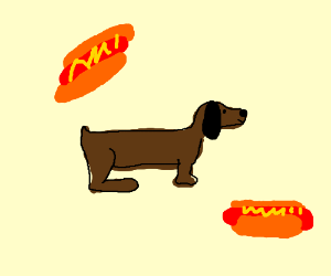 300x250 wiener dog - Wiener Dog Drawing
