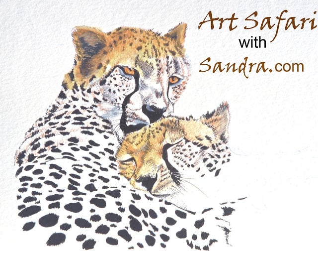 640x508 how to draw wild animals in art and writing on vimeo - Wild Animals Drawing