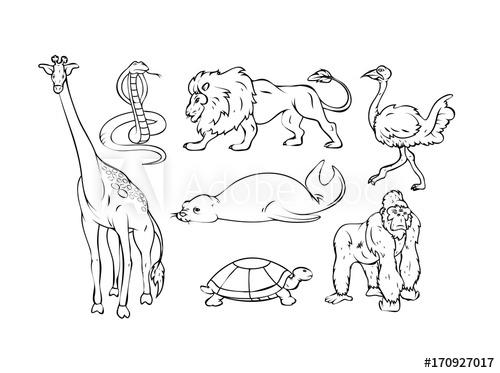 500x373 cartoon wild animals drawing set - Wild Animals Drawing