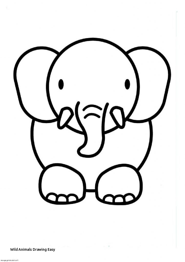 723x1024 wild animals drawing easy animals step - Wild Animals Drawing