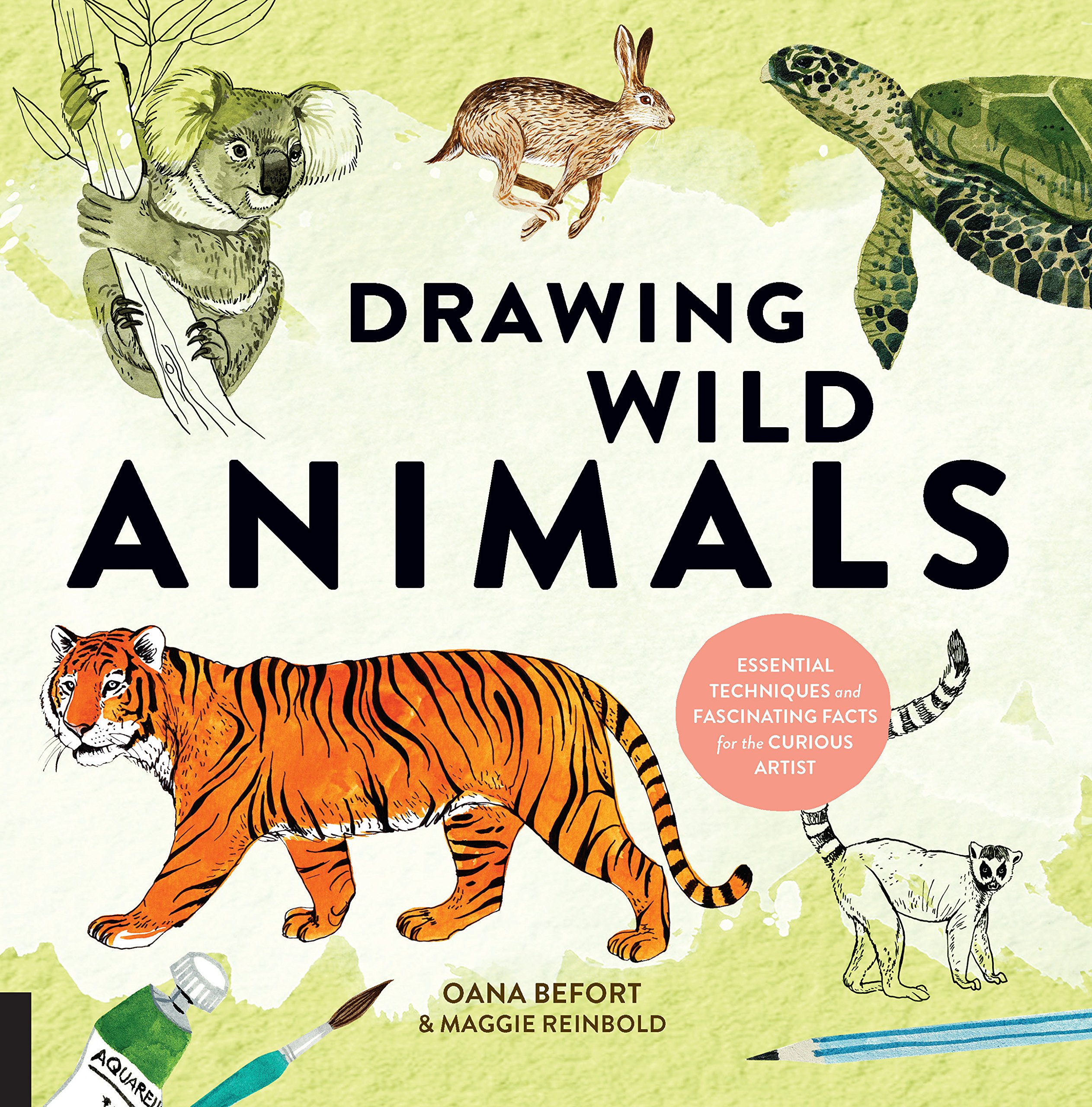 2525x2560 drawing wild animals essential techniques and fascinating facts - Wild Animals Drawing