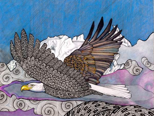 600x450 Online Contest - Wild Bird Drawings