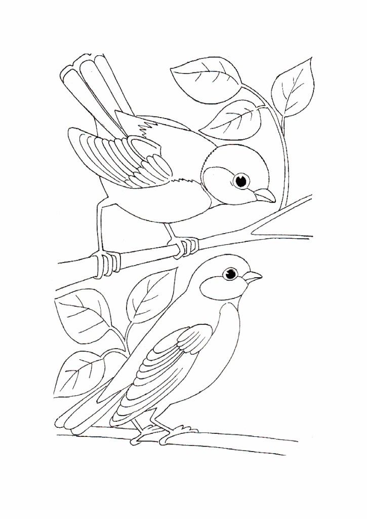 725x1024 Wild Bird Coloring Pages Stitcheryness Bird - Wild Bird Drawings