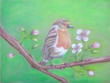 375x281 Wild Bird Drawings For Sale Saatchi Art - Wild Bird Drawings