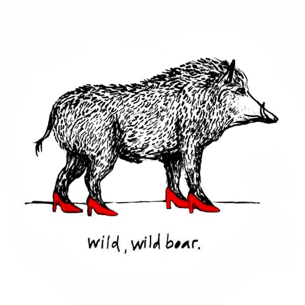 600x600 jb wild wild boar drawing escape into life - Wild Boar Drawing