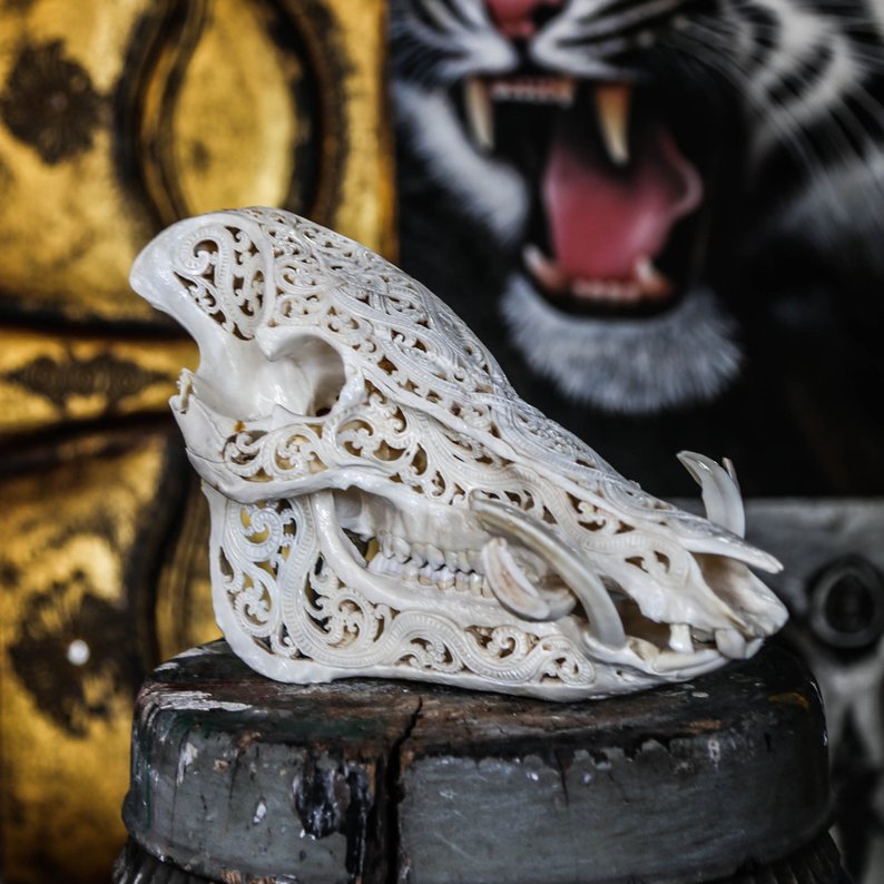 794x794 hand carved pig skull boar wild boar skull animal skull etsy - Wild Boar Skull Drawing
