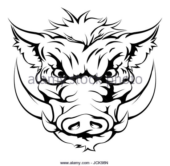 552x540 Rainy Day Drawing For Kids - Wild Boar Skull Drawing