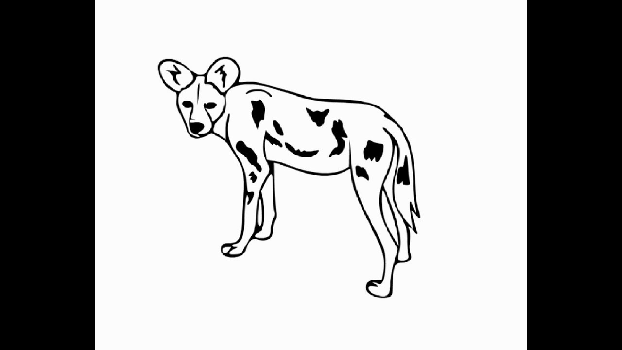 1280x720 How To Draw African Wild Dog Pencil Drawing Step - Wild Dog Drawing