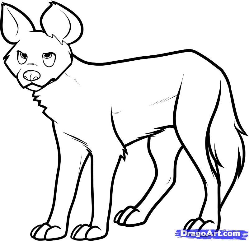 Wild Dog Drawing at Explore collection of Wild Dog