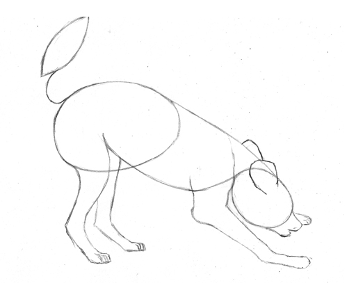 512x407 How To Draw An African Wild Dog Pencil Sessions - Wild Dog Drawing