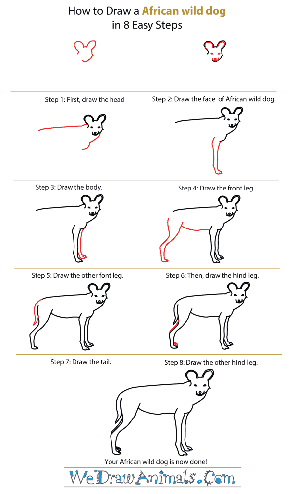 600x1001 How To Draw An African Wild Dog - Wild Dog Drawing