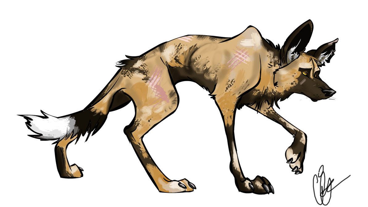 1192x670 African Wild Dog - Wild Dog Drawing