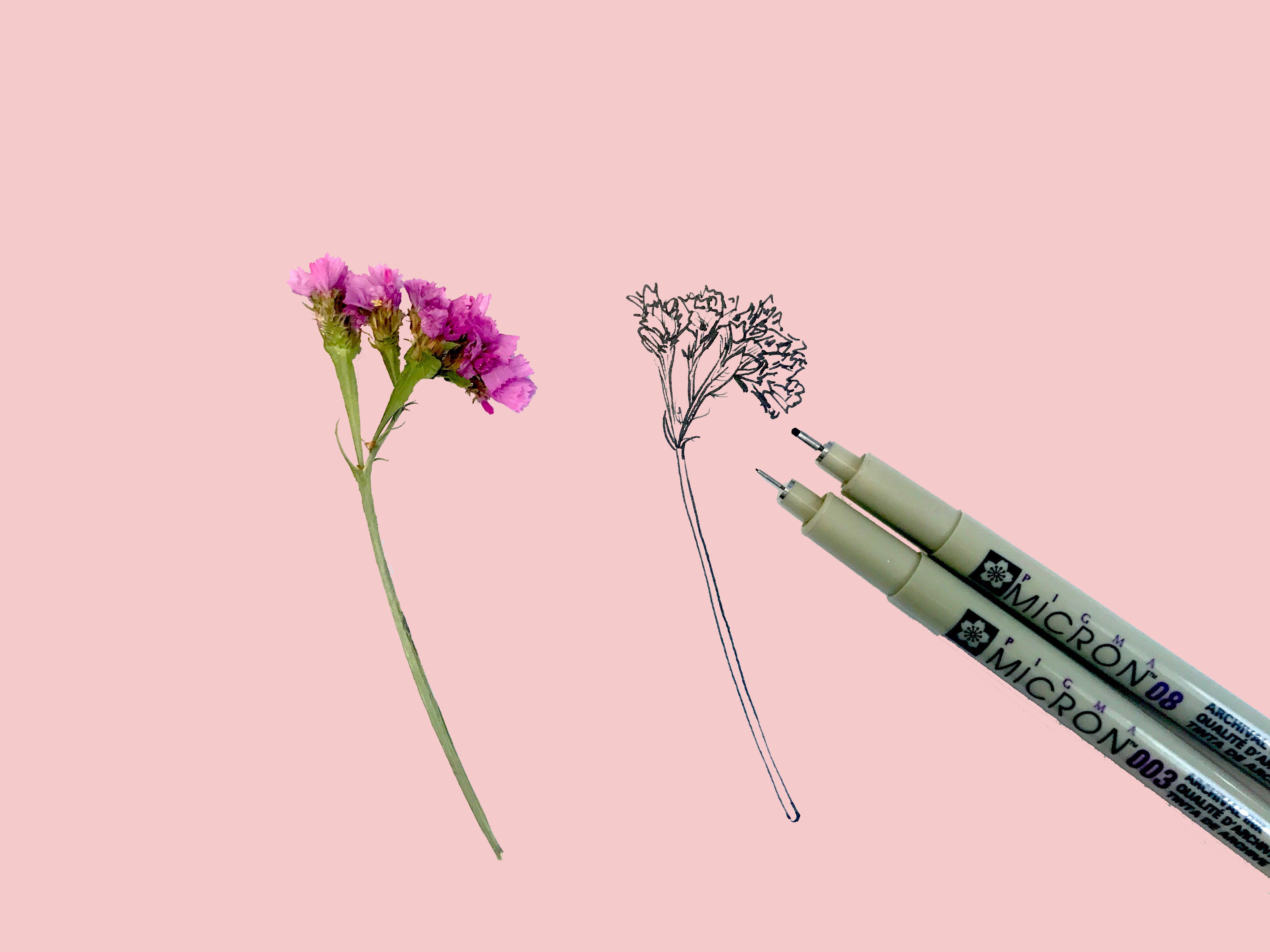 4032x3024 Learn How To Draw Any Wildflower In Easy Steps Brit + Co - Wild Flower Drawing