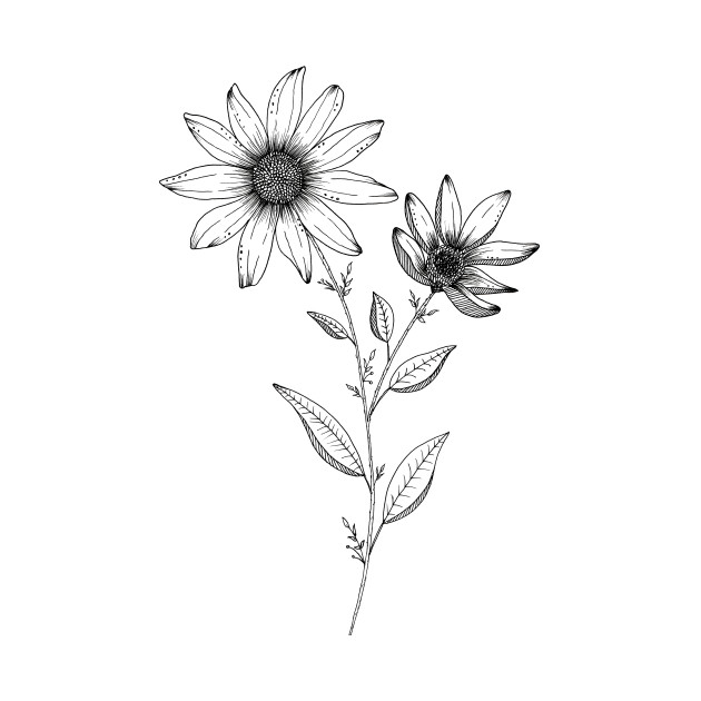 630x630 Wildflower Ink Drawing - Wild Flower Drawing
