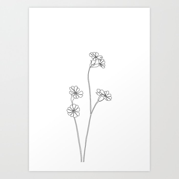 700x700 Wild Flower Botanical Drawing - Wild Flower Drawing