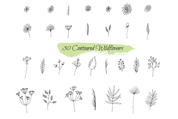 570x380 Wildflower Drawings Clipart Ornate Sketch Vector Of Flower Etsy - Wild Flower Drawing