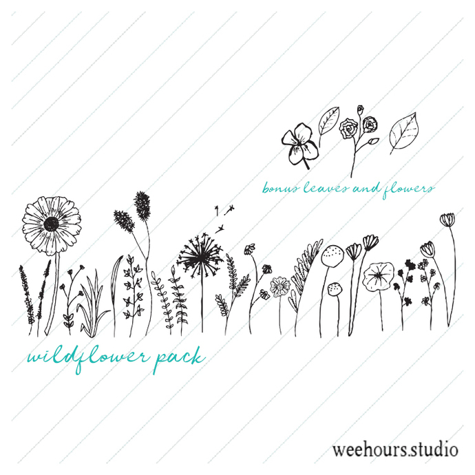 690x690 Wildflower Vector Pack - Wild Flower Drawing