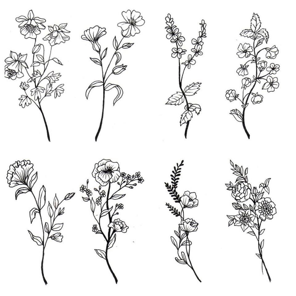 960x960 Wildflower Drawing Artistic For Free Download - Wild Flower Drawing