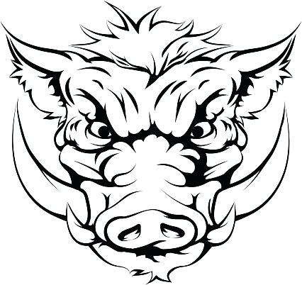 426x402 cunning outline wild pig muzzle tattoo design pigeon images - Wild Hog Drawing