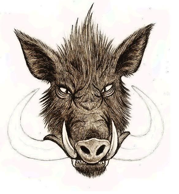 584x633 pin on tatuajes spanish tatuajes tatuajes para mujeres - Wild Hog Drawing