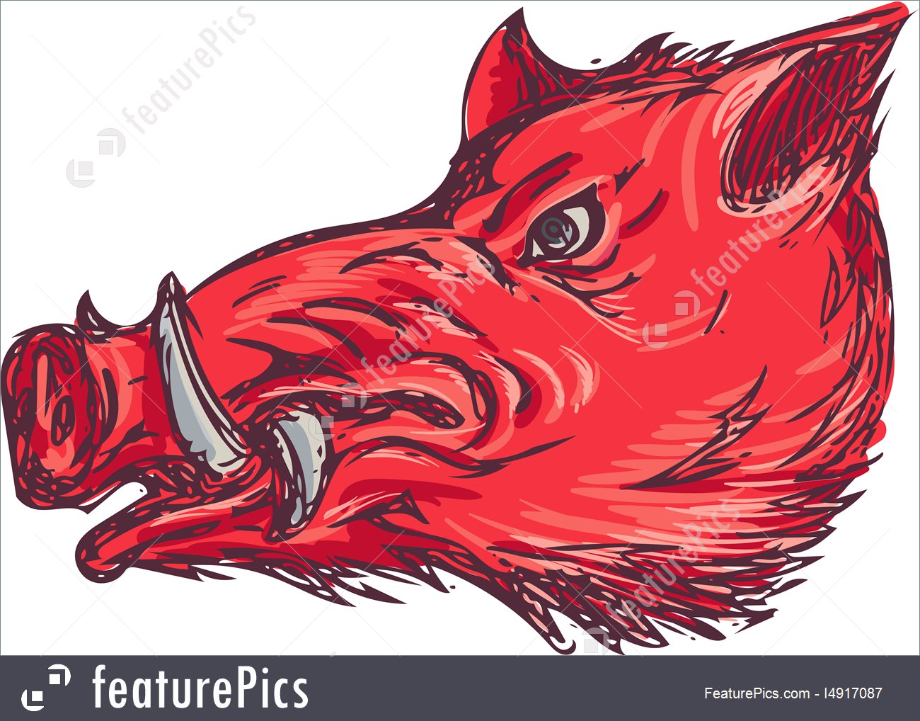 1300x1018 wild boar razorback head side drawing stock illustration - Wild Hog Drawing