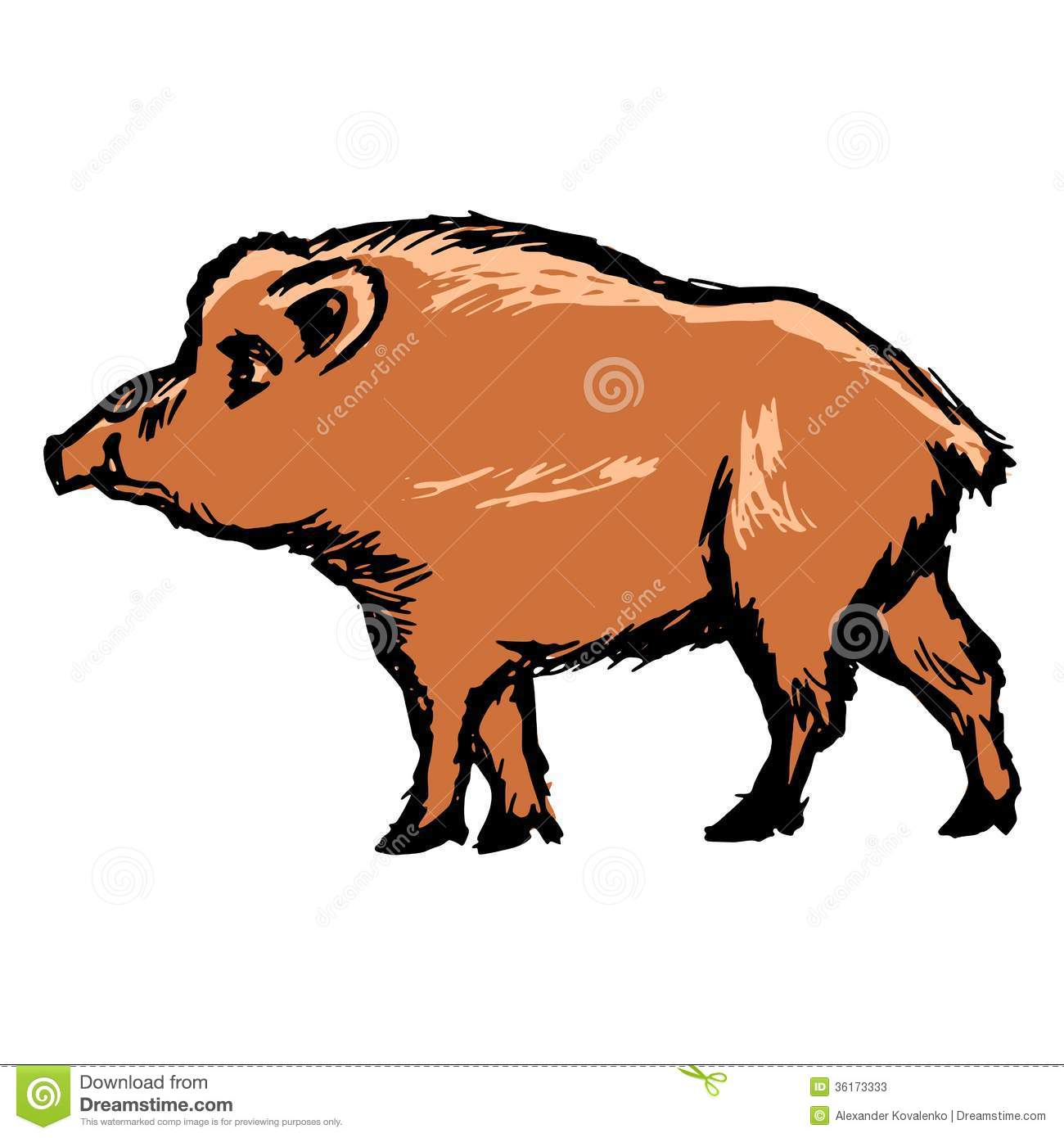 1300x1390 wild hog drawing sketch and wild boar stock vector illustration - Wild Hog Drawing