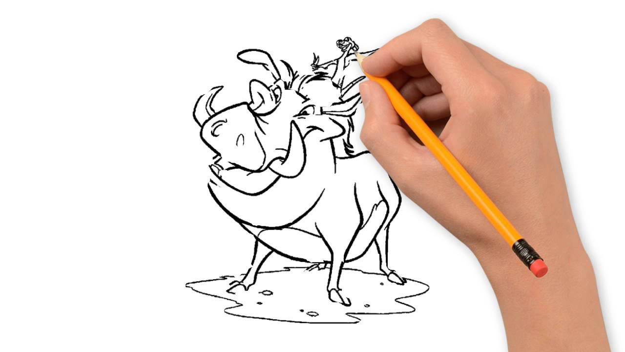 1280x720 boar or wild pig animals pencil to draw step - Wild Hog Drawing