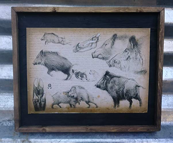 602x500 wild hogoar dog hunting drawing - Wild Hog Drawing