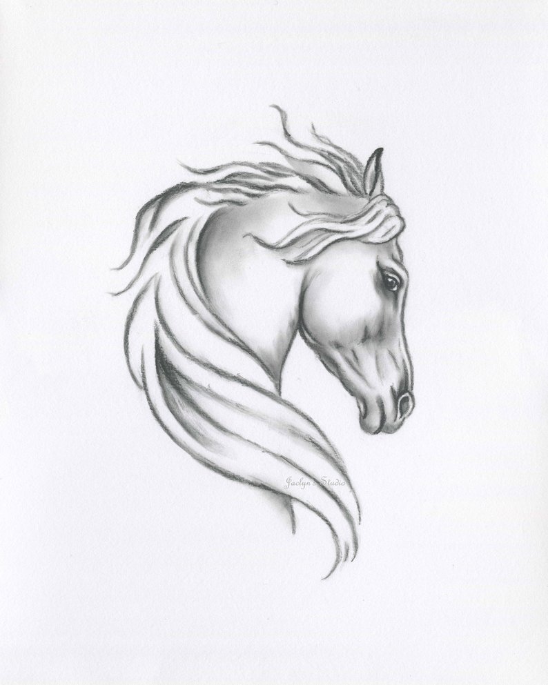 794x993 Original Horse Sketch Charcoal Horse Drawing Etsy - Wild Horse Drawing