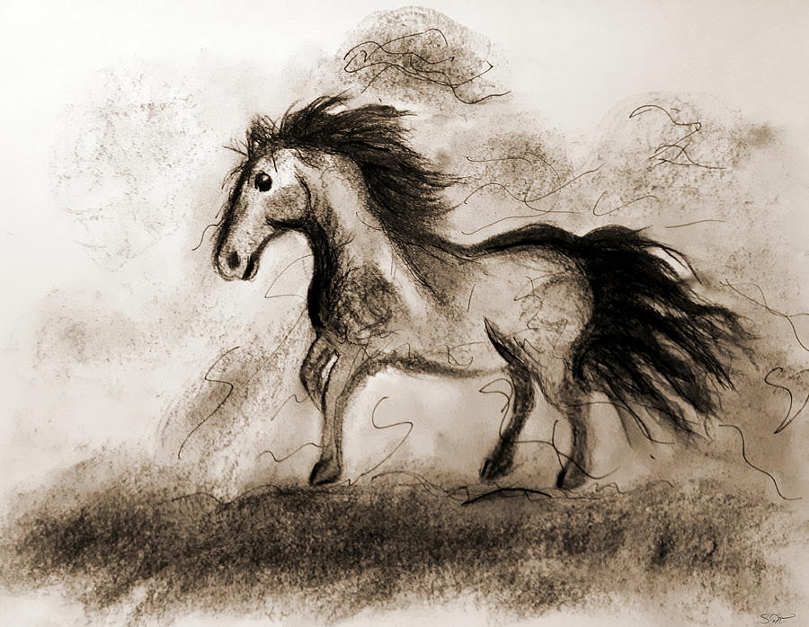 900x698 Wild Horse Drawing - Wild Horse Drawing